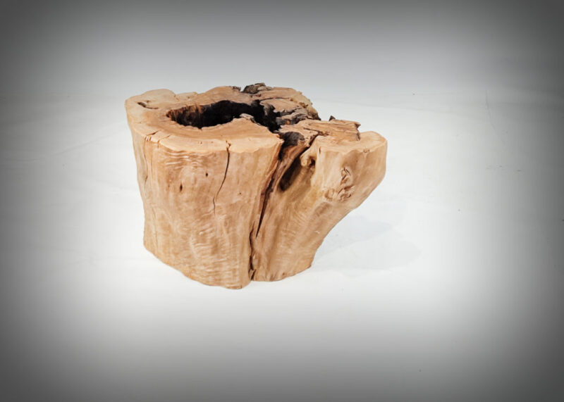 Tronco de olivo tallado