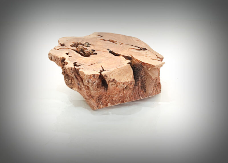 Tronco de olivo tallado