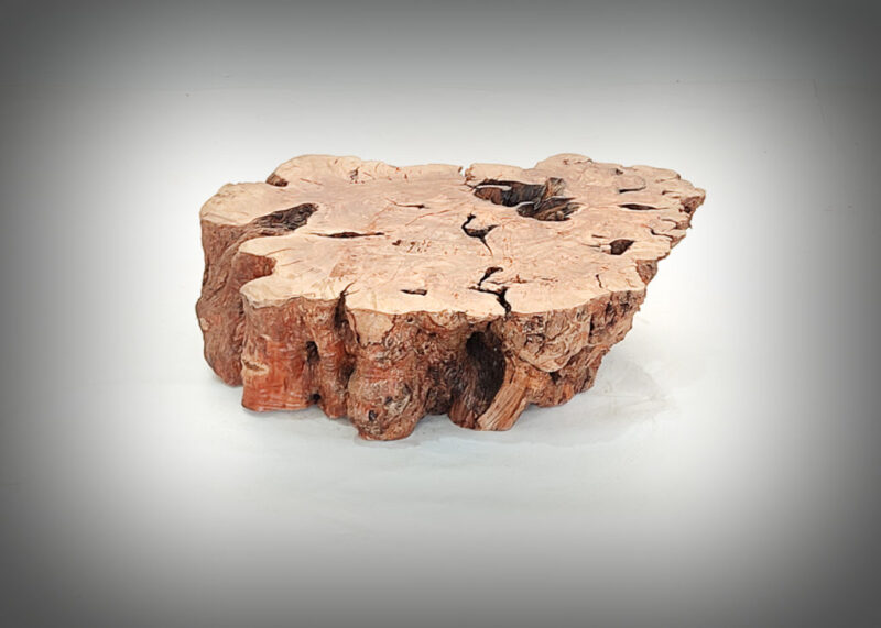 Tronco de olivo tallado
