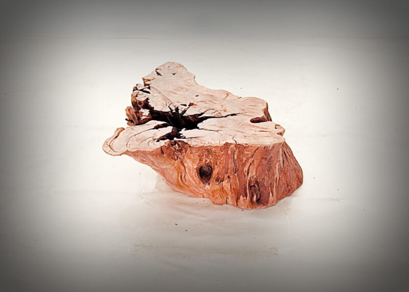 Tronco de olivo tallado