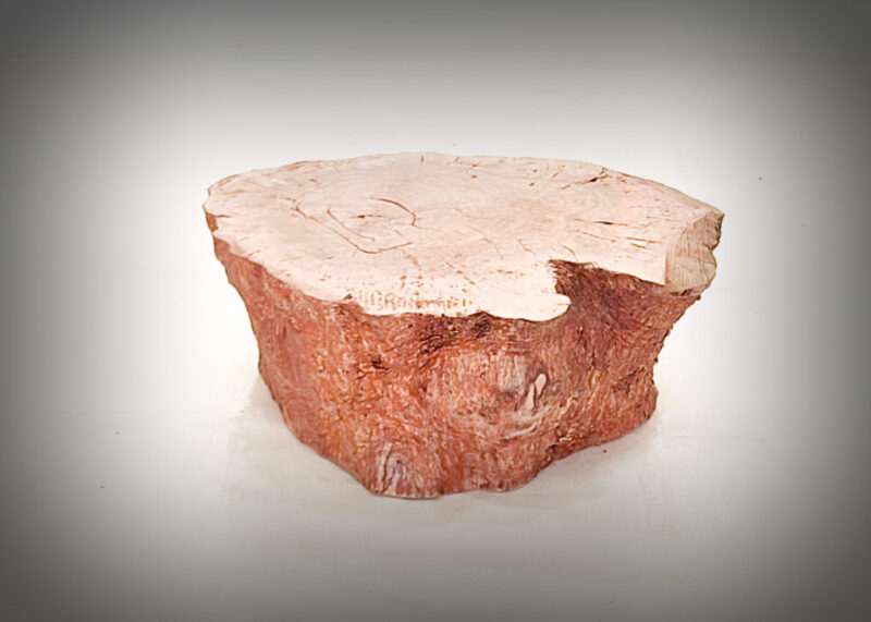 Tronco de olivo tallado