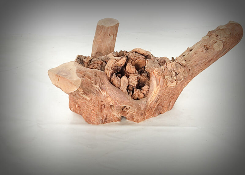 Tronco de olivo tallado