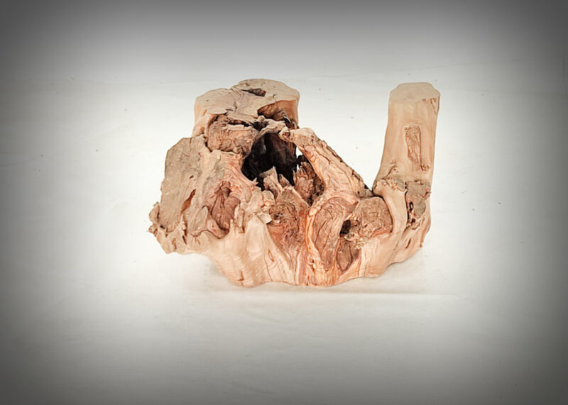 Tronco de olivo tallado