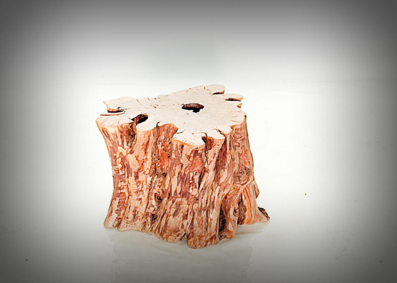 Tronco de olivo tallado