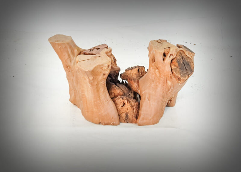 Tronco de olivo tallado