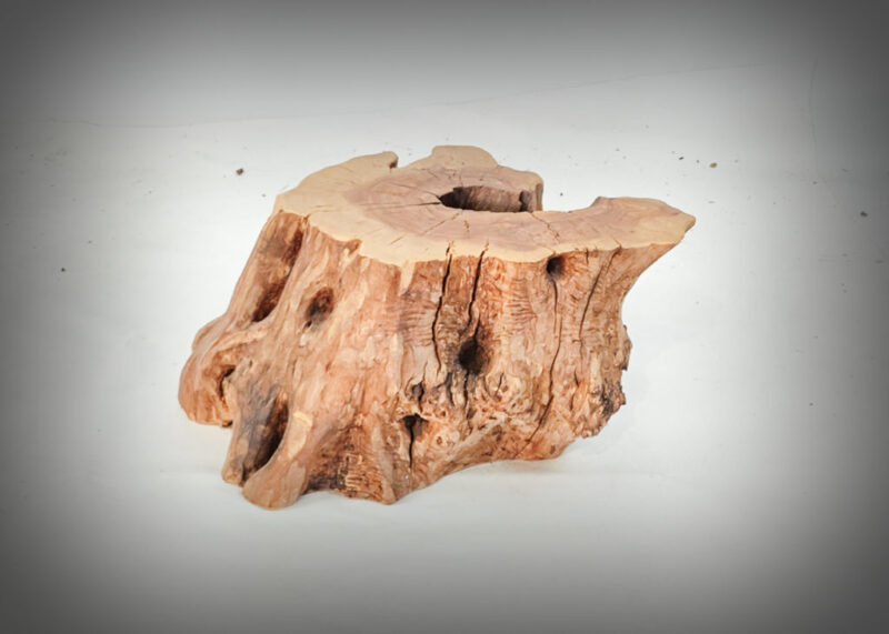 Tronco de olivo tallado