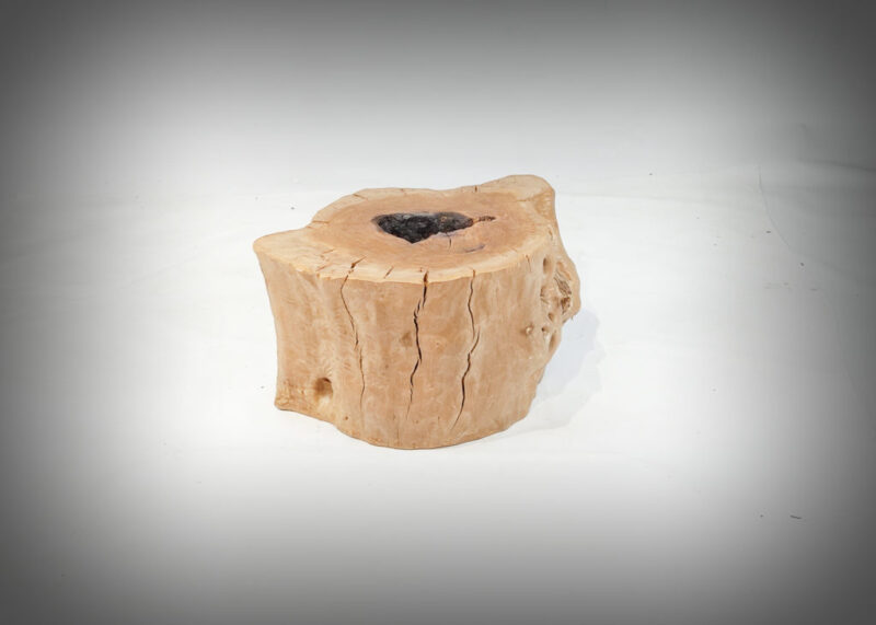 Tronco de olivo tallado