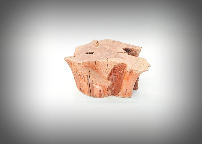 Tronco de olivo tallado