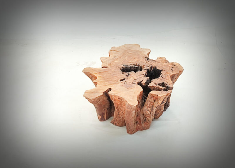 Tronco de olivo tallado
