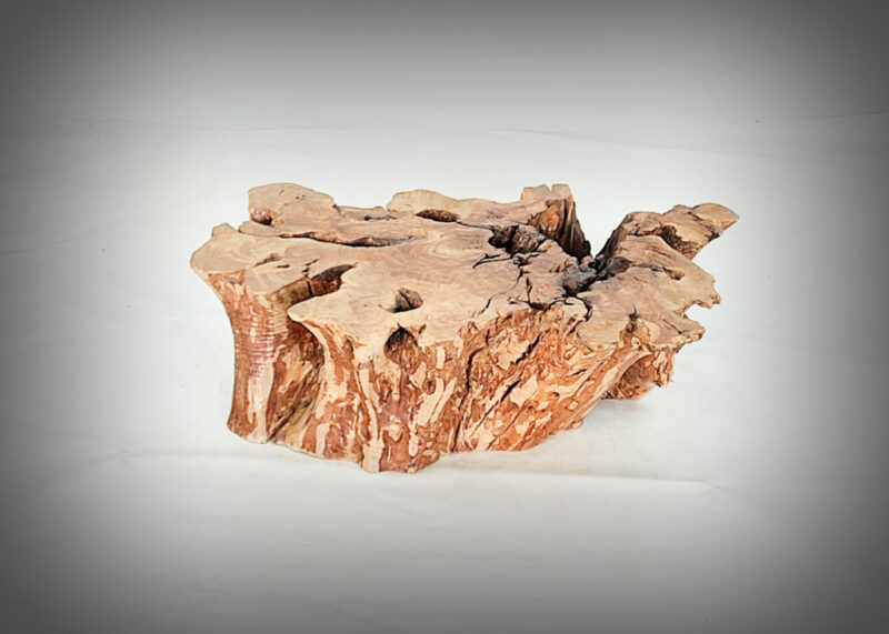 Tronco de olivo tallado