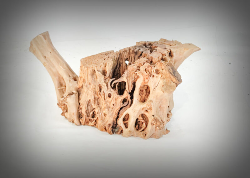 Tronco de olivo tallado