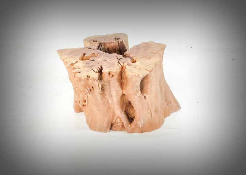 Tronco de olivo tallado