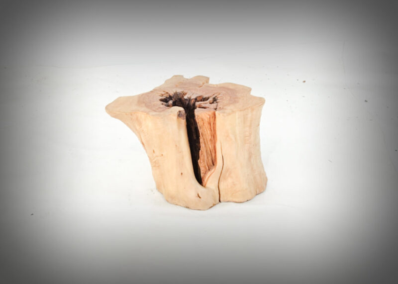 Tronco de olivo tallado