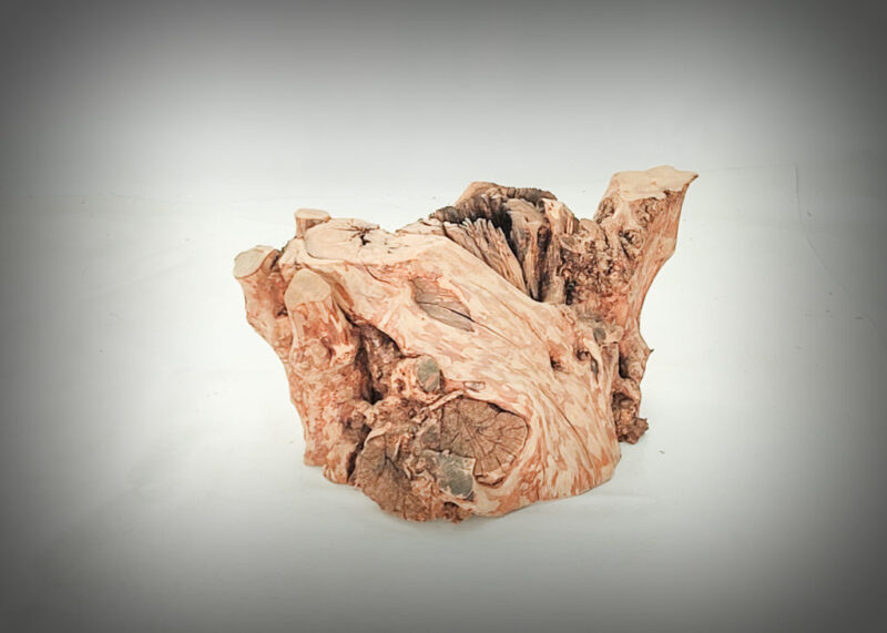 Tronco de olivo tallado