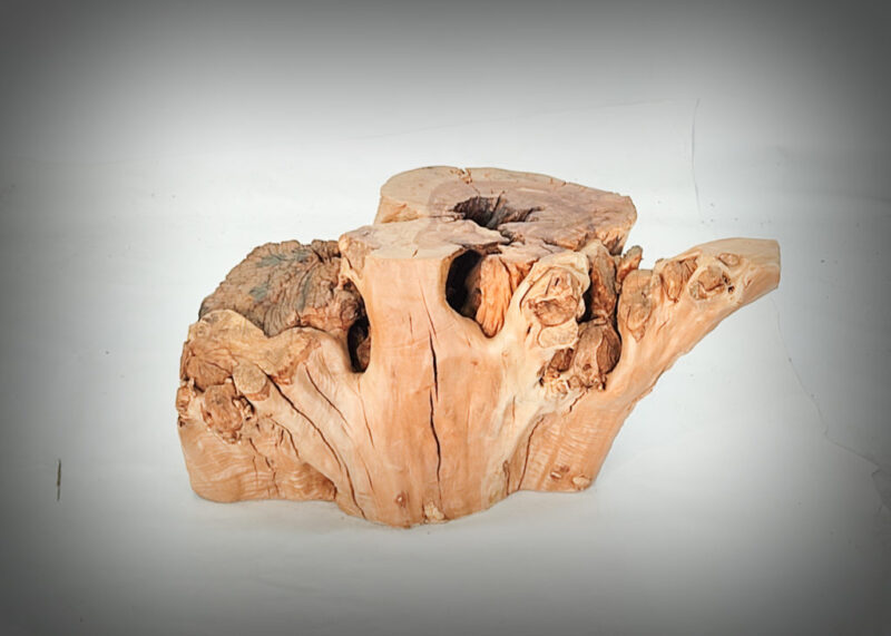 Tronco de olivo tallado