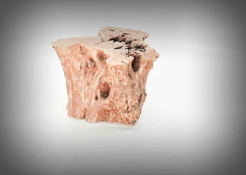 Tronco de olivo tallado