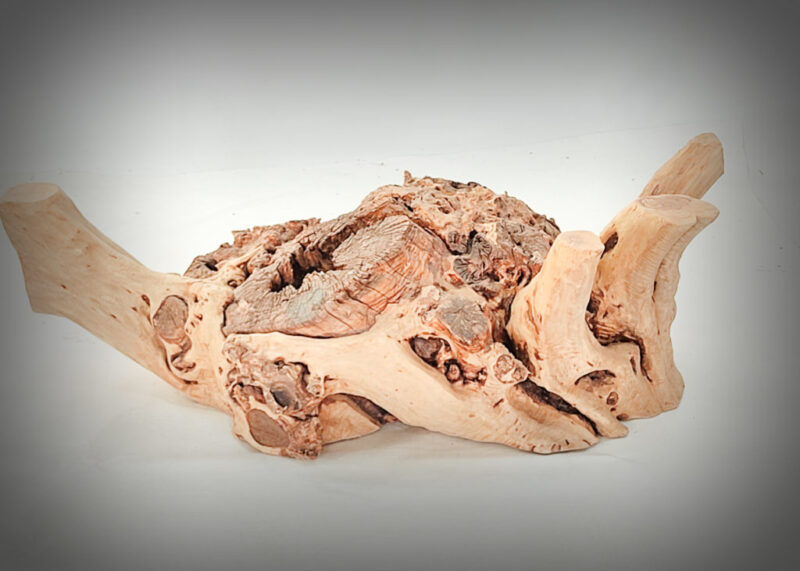 Tronco de olivo tallado