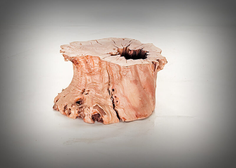 Tronco de olivo tallado