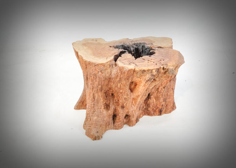 Tronco de olivo tallado