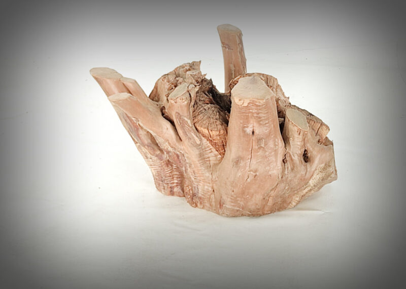 Tronco de olivo tallado
