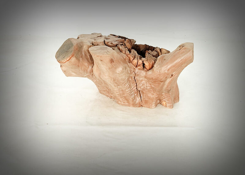 Tronco de olivo tallado