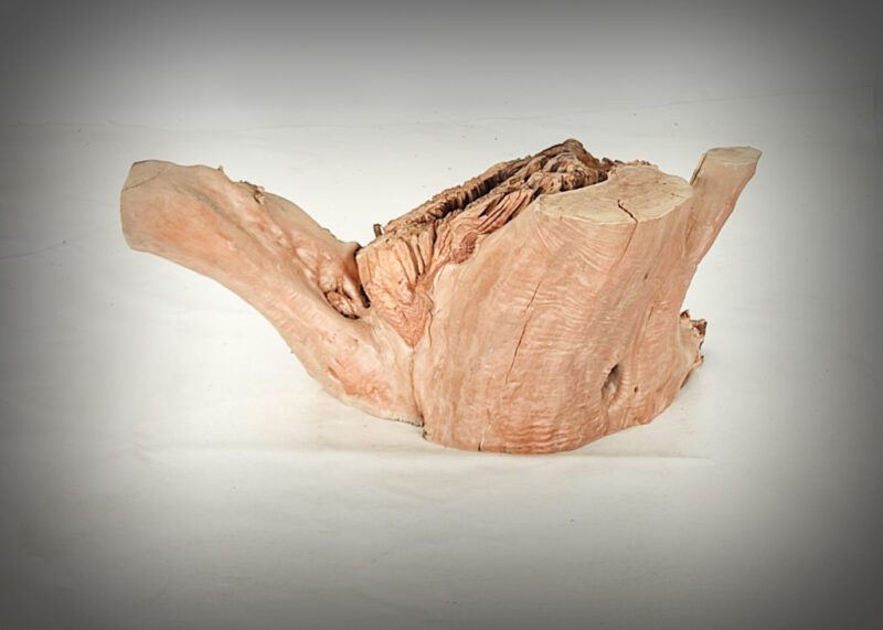 Tronco de olivo tallado