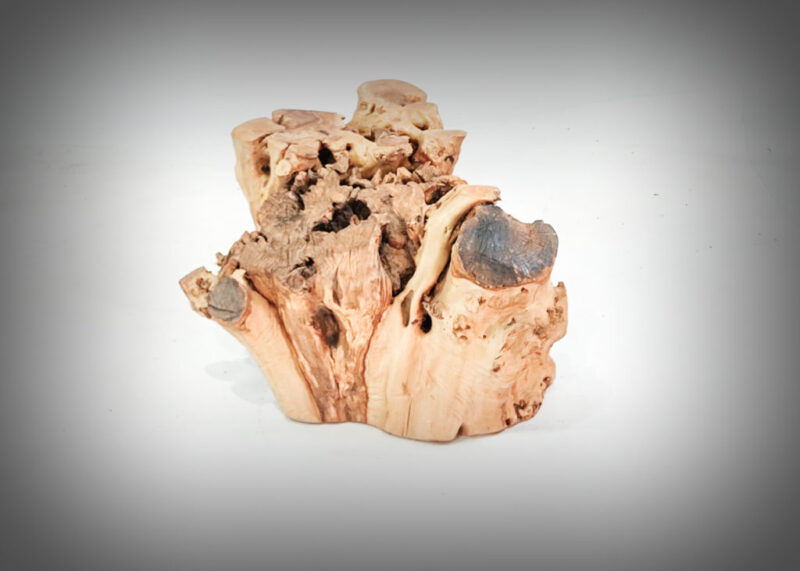 Tronco de olivo tallado