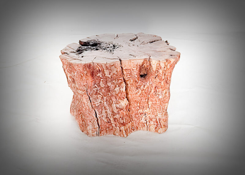 Tronco de olivo tallado