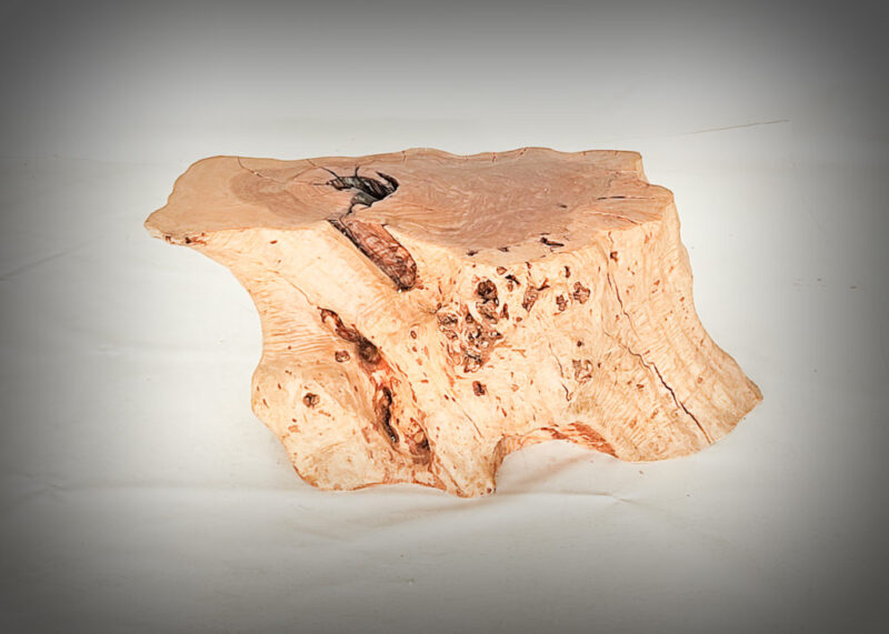 Tronco de olivo tallado