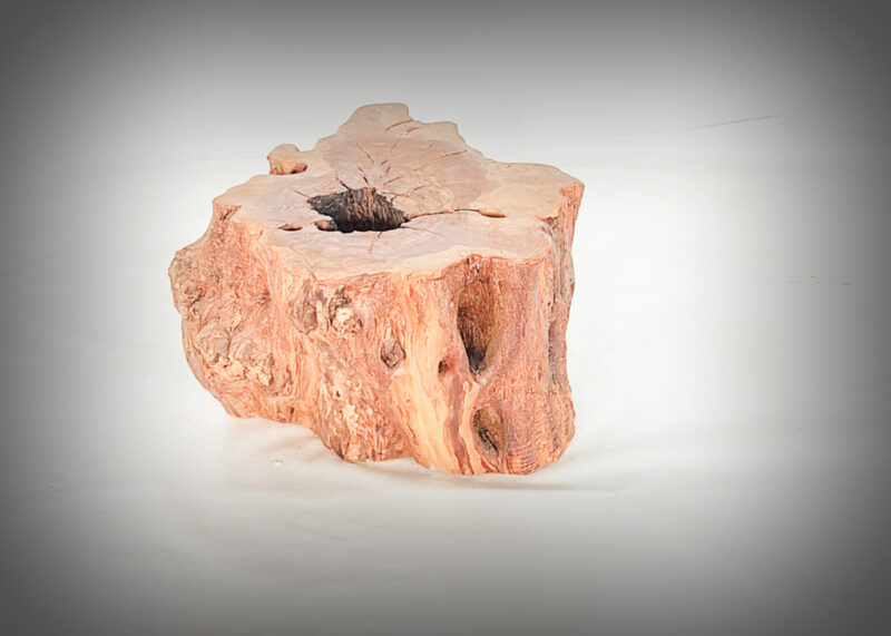Tronco de olivo tallado