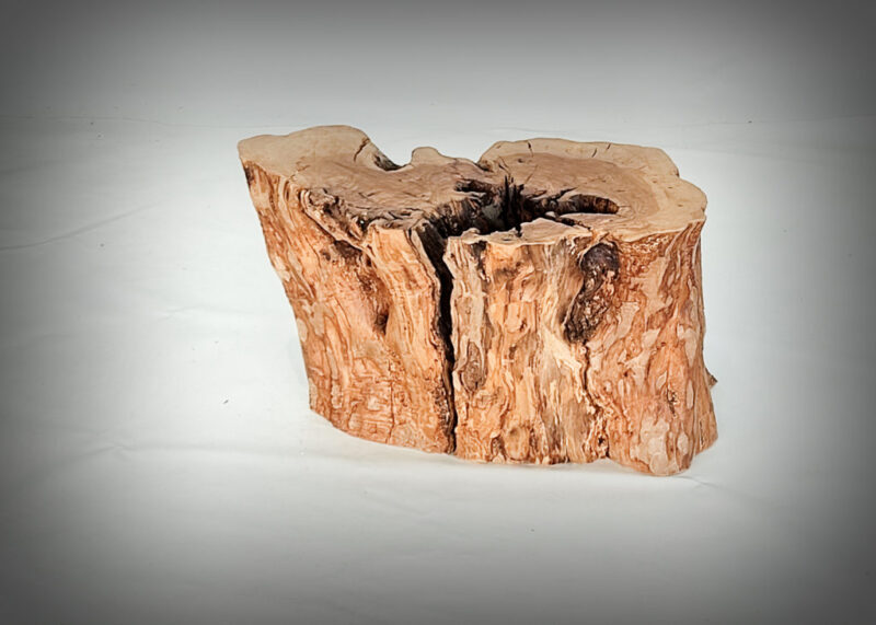 Tronco de olivo tallado