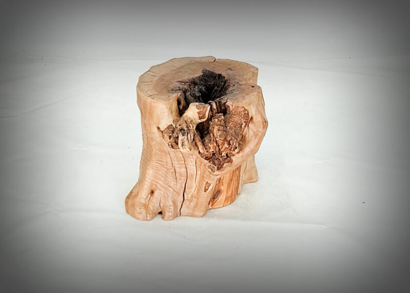 Tronco de olivo tallado