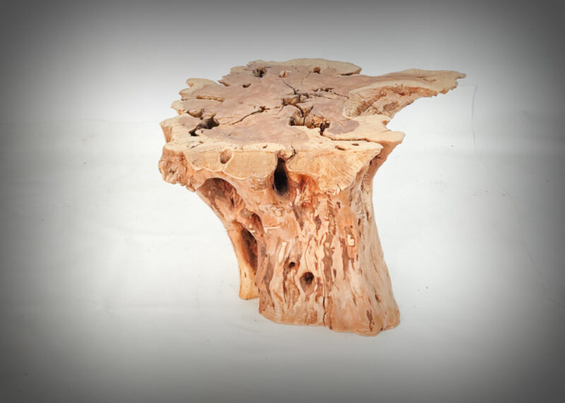 Tronco de olivo tallado