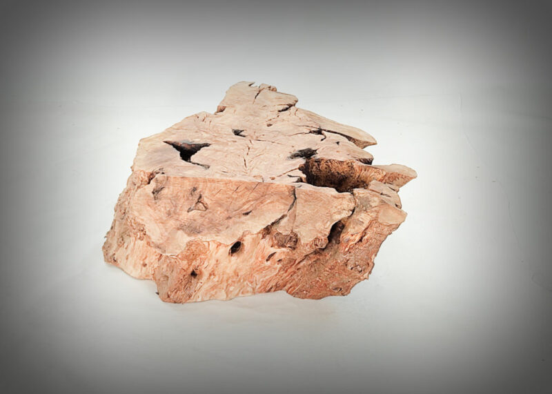 Tronco de olivo tallado