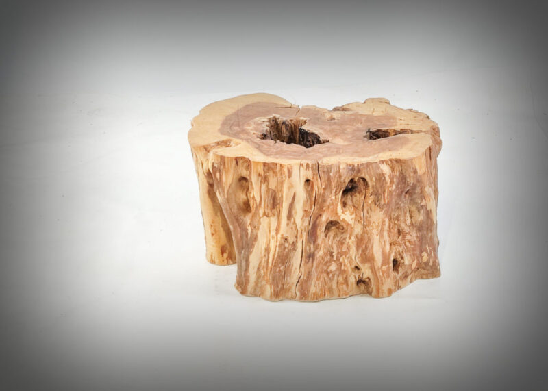 Tronco de olivo tallado