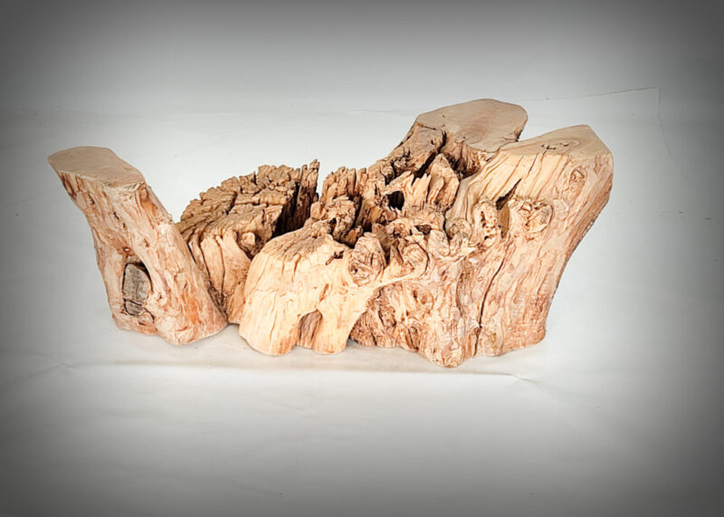 Tronco de olivo tallado
