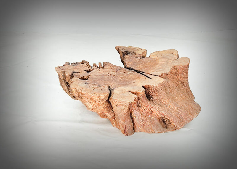 Tronco de olivo tallado