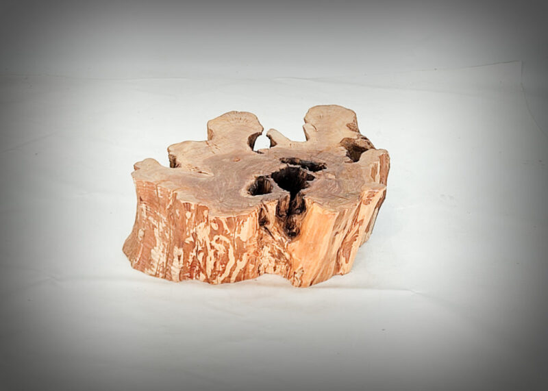 Tronco de olivo tallado