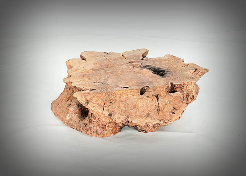 Tronco de olivo tallado