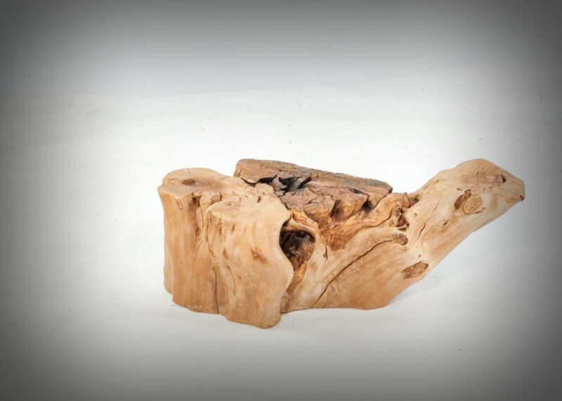 Tronco de olivo tallado