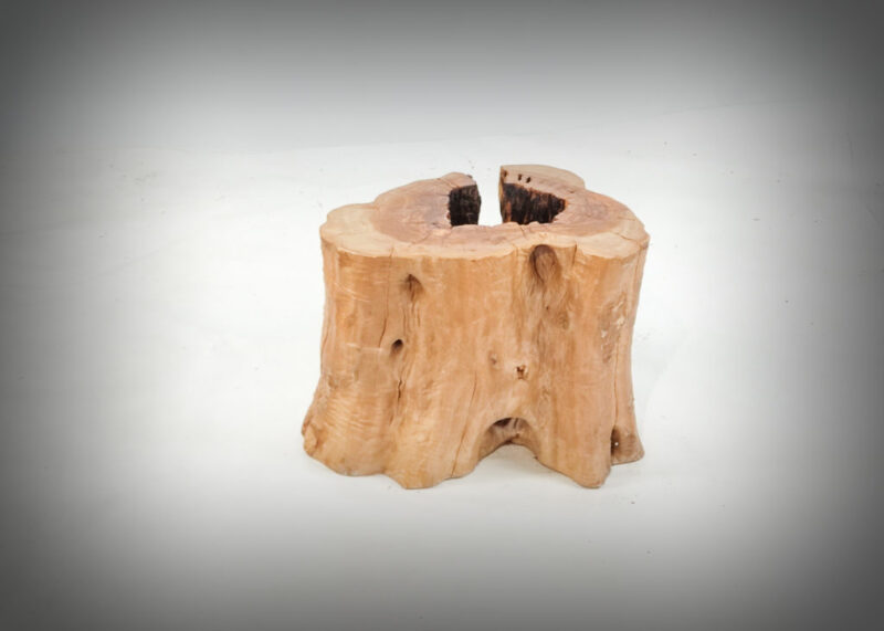 Tronco de olivo tallado
