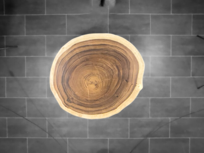 Galleta de madera de Suar decorativa (mesa centro, accesorio…). Tamaño 77x78/x8cm